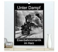 Unter Dampf. Eisenbahnromantik im Harz (hochwertiger Premium Wandkalender 2026 DIN A2 hoch), Kunstdruck in Hochglanz: Dampflokomotiven in faszinierenden Schwarz-Weiß-Bildern