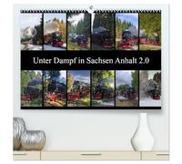 Unter Dampf in Sachsen Anhalt 2.0 (hochwertiger Premium Wandkalender 2026 DIN A2 quer), Kunstdruck in Hochglanz: Schmalspurbahnen für große und kleine Leute in Sachsen Anhalt
