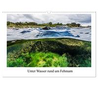 Unter Wasser rund um Fehmarn (Wandkalender 2026 DIN A3 quer), CALVENDO Monatskalender: Kalender mit 13 Bilder der Unterwasserwelt in der Ostsee rund um Fehmarn.