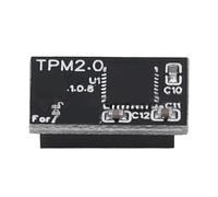 UNTERING Modulo protettivo della piattaforma di fiducia del blocco di sicurezza del modulo TPM2.0 14Pin di SPI per la componente di crittografia di sicurezza del computer