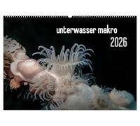 unterwasser makro 2026 (Wandkalender 2026 DIN A2 quer), CALVENDO Monatskalender: unterwasser makro - zauberhafte Makrowelt der Meere