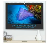 Unterwasserwelt - Das Leben am Korallenriff (hochwertiger Premium Wandkalender 2026 DIN A2 quer), Kunstdruck in Hochglanz: Farbenprächtige und bezaubernde Bilder eines Korallenriffs erwarten Sie.