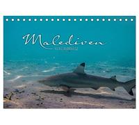 Unterwasserwelt der Malediven I (Tischkalender 2026 DIN A5 quer), CALVENDO Monatskalender: Die vielfältige und faszinierende Unterwasserwelt der Malediven.