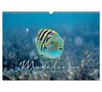 Unterwasserwelt der Malediven II (Wandkalender 2026 DIN A3 quer), CALVENDO Monatskalender: Die vielfältige und faszinierende Unterwasserwelt der Malediven.