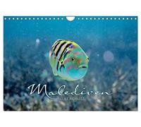 Unterwasserwelt der Malediven II (Wandkalender 2026 DIN A4 quer), CALVENDO Monatskalender: Die vielfältige und faszinierende Unterwasserwelt der Malediven.