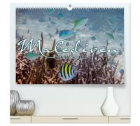Unterwasserwelt der Malediven III (hochwertiger Premium Wandkalender 2026 DIN A2 quer), Kunstdruck in Hochglanz: Die vielfältige und faszinierende Unterwasserwelt der Malediven.