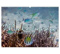Unterwasserwelt der Malediven III (Wandkalender 2026 DIN A2 quer), CALVENDO Monatskalender: Die vielfältige und faszinierende Unterwasserwelt der Malediven.
