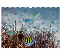Unterwasserwelt der Malediven III (Wandkalender 2026 DIN A3 quer), CALVENDO Monatskalender: Die vielfältige und faszinierende Unterwasserwelt der Malediven.