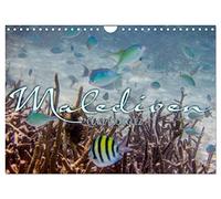 Unterwasserwelt der Malediven III (Wandkalender 2026 DIN A4 quer), CALVENDO Monatskalender: Die vielfältige und faszinierende Unterwasserwelt der Malediven.
