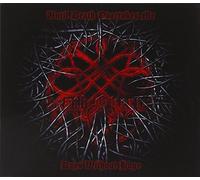 Until Death Overtakes Me - Days Without Hope