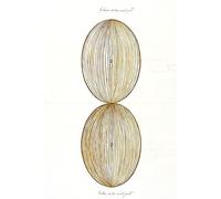 Untitled 1917 No. 22 - Hilma af Klint - Notebook: 120 Lined Pages 6" x 9" Journal Diary Notepad