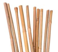 UNUS Bastoncini di bambù, 10 pezzi, per piante in bambù, 150 cm, colore naturale