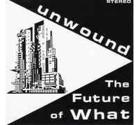 Unwound The future of what (Vinyl LP) 12" Album
