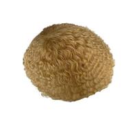 Uomini Parrucchino da uomo con sistema di sostituzione dei capelli umani Afro Wave Curly Parrucche piene in pizzo 6 pollici Acconciatura(613 Color)
