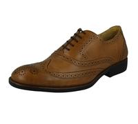 Uomo Anatomic Formale Pizzo Pelle Scarpe Brogue' Charles II 246289m