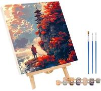 Uomo Dipingere con i Numeri Adulti con Telaio, Paint by Numbers Architettura, DIY Dipingere con i Numeri Kit con 3 Pennelli e Vernice Acrilica, per Decorazione Casa, Regalo Donna 50x65cm 8-6730