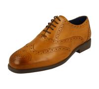 Uomo Padders Oxford Scarpe Stringate Brogue