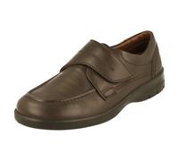Uomo Padders Scarpe Casual - Solare