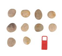 Uonlytech 1 Set di Pietre Dipinte Set di Pietre Fai da Te per Dipingere Ciottoli di Vernice Vernice per Disegno Pietre Dipinte Sassi Dipinte A Mano Pietre per Dipingere
