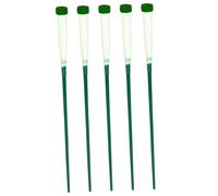 Uonlytech 1 Set Tubo di Stoccaggio dell'Acqua Floreale Tubi Floreali Orchidea Tubi di Conservazione dei Fiori Sostituzione del Tubo dell'Acqua del Fiore Tubo Porta Fiori Plastica 5 Pezzi