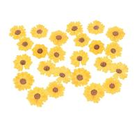 Uonlytech 24pezzi Fiori Secchi Pressati Naturali di Margherite Secche per Fai da Te Decorazioni Floreali Articoli per Casa e Creazioni Artistiche