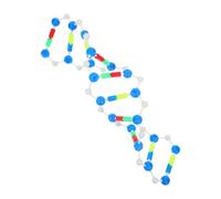 Uonlytech Kit Educativo Dna a Doppio Filamento Struttura Didattica per Biologia Scuola e Laboratorio, Strumento Interattivo per Insegnamento Genetica e Scienze Biologiche