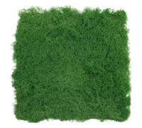 Uonlytech Muschio Artificiale per Micro Paesaggio 50x50 Cm in Materiale Espanso Epe Verde, Tappeto di Muschio Sintetico Decorativo per Bonsai, Vaso e Giardino, Prato Finto per Scenari