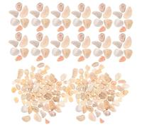 Uonlytech Pietre Decorative Naturali per Giardino e Bonsai Sassolini Microlandscape per Acquari Vasi e Paesaggi Sacchetto Facili da Curare e Adatti Percorsi Esterni