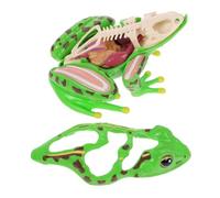 Uonlytech Puzzle di Dissezione Rana 4d Anatomico per Bambini, Kit Scientifico Stem Educativo Organi Staccabili, Strumento Biologico Riutilizzabile per Lezioni di Scienze e Apprendimento