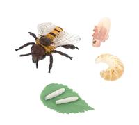 Uonlytech Set di Modelli in Plastica del Ciclo di Vita dell'Ape Giocattoli Cognitivi Stimola l'Immaginazione Uso Didattico Mostra Ciclo di Crescita Educazione Scientifica