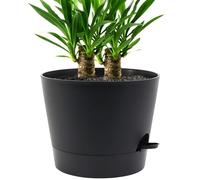 UOUZ Vaso autoirrigante da 30,5 cm, in plastica, per piante e fiori da interno, nero