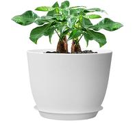 UOUZ Vaso grande da 30,5 cm, moderno vaso in plastica con fori alti e sottovaso, per piante e fiori da giardino per interni ed esterni, bianco