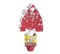 Uova di Cioccolato Peanuts Snoopy al Latte da 240 gr Pasqua 2025 Walcor