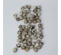 Uova di quaglia, 60 pezzi, per uova di Pasqua, decorazioni pasquali