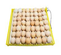 Uovo di Gallina Incubatrice Vassoio di 360 ° Rotary Automatico Uovo