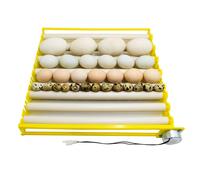 Uovo di Gallina Incubatrice Vassoio di 360 ° Rotary Automatico Uovo
