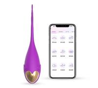 Uovo vibrante Bluetooth Vibrating Egg Wireless Long Distance APP Phone Control Remote Jumping Egg Coppia ricaricabile Giocattoli Vibratore per adulti