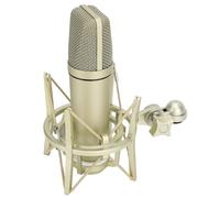 UPALDHOU Microfono a Condensatore in Metallo Affidabile per la Registrazione e il Podcasting, Adatto Alla Trasmissione dello Studio