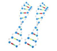 UPKOCH 2 Kit Doppia Dna Struttura Molecolare per Lezioni Genetica e Biologia Componenti Interattivi per Scuola e