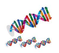UPKOCH 4 Dna Doppia da Te Struttura Molecolare per Insegnamento Biologia Scuola e Didattico Interattivo per Apprendimento Scientifico