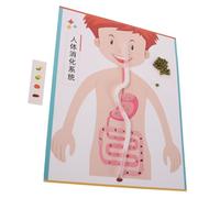 UPKOCH 4 Set Digerente Te Kit Educativo Scienze per Esperimenti Scolastici Materiale per Apprendimento Interattivo e Sviluppo Abilità Manuali