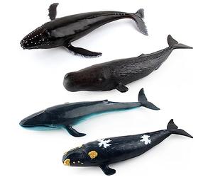 UPKOCH Giocattolo Balena Franca in Plastica e Cotone, Figura Vita Marina Educativa per Bambini, Decorazione Leggera e Lavabile per Ragazzi