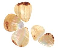 UPKOCH Set Di Plettri Acustici Da 5 Pezzi Robusti Plettri Per Chitarra Per Chitarre Acustiche Ed Elettriche Design Confortevole