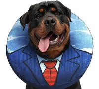 UPPYS Collare a ciambella per cani di taglia grande, alternativa al cono gonfiabile per il recupero dopo l'intervento chirurgico. Coni per cani di grossa taglia. Collari gonfiabili per cani dopo