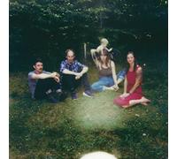 UPSTATE YOU ONLY GET A FEW VINYL LP NUOVO