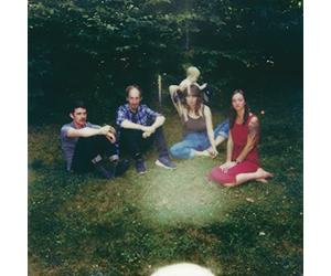 UPSTATE YOU ONLY GET A FEW VINYL LP NUOVO