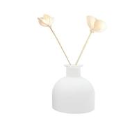 Upstore Diffusore di profumo in vetro vuoto, 100 ml, ricaricabile, diffusore per aromaterapia, contenitore per fragranze fai da te, per casa, bagno e ufficio, decorazione (bianco opaco)