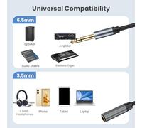 Uqezagpa Adattatore da 1/4" a 1/8", adattatore da 3,5 mm femmina a 6,35 mm maschio adattatore audio chiaro e stabile