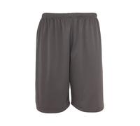 Shorts Urban Classic mesh Gris S