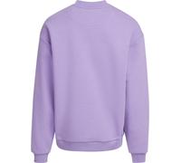 Urban Classics Vaporoso girocollo TB6751 3XL Viola